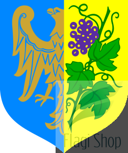 POL_Strzelce_Opolskie_COA.svg.png