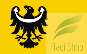 POL_powiat_brzeski_(województwo_opolskie)_flag.svg.png