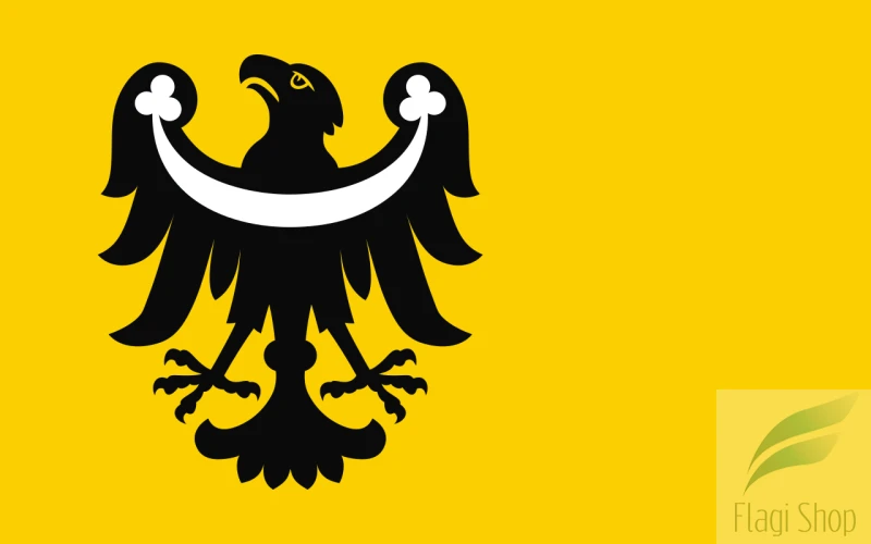 POL_powiat_brzeski_(województwo_opolskie)_flag.svg.png