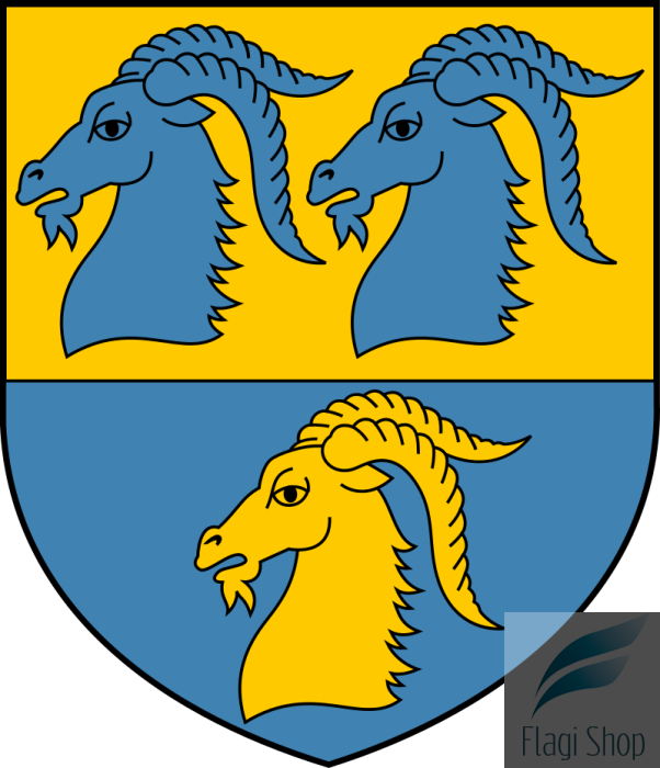 POL_powiat_kędzierzyńsko-kozielski_COA.svg.png