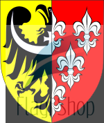 POL_powiat_nyski_COA.svg.png