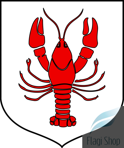 POL_gmina_Raków_COA.svg.png