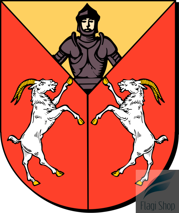 POL_gmina_Dwikozy_COA.svg.png