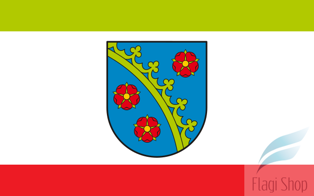 POL_Piotrków_Kujawski_flag.svg.png