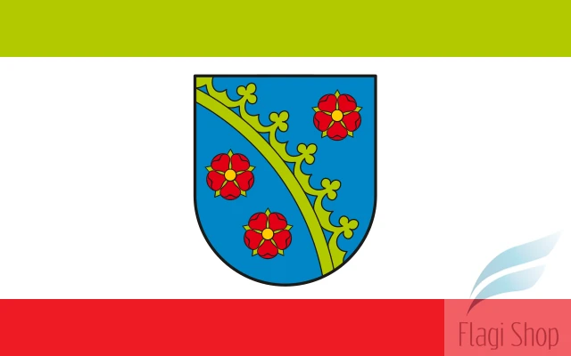 POL_Piotrków_Kujawski_flag.svg.png