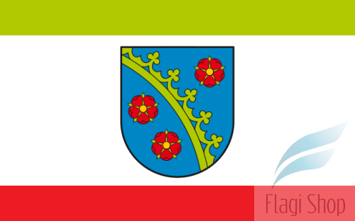 POL_Piotrków_Kujawski_flag.svg.png