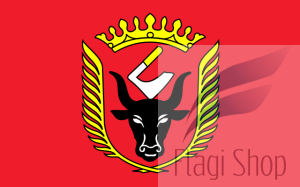 Flaga gminy Wiskitki - na zamówienie 110x70    