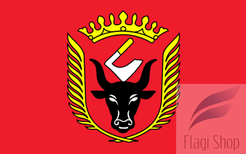 POL_Wiskitki_flag.svg.png