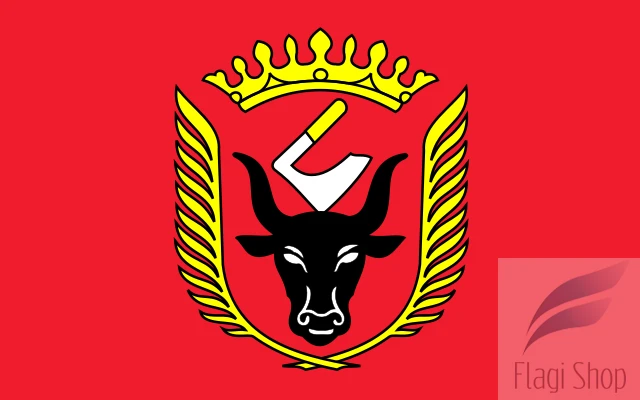 POL_Wiskitki_flag.svg.png
