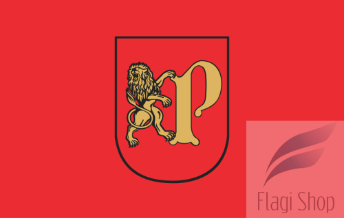 POL_Pruszcz_Gdański_flag.svg.png
