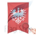 powstanie wielkopolskie korona.jpg