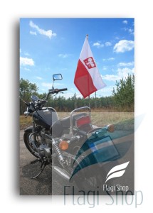 polska godło 2.jpg