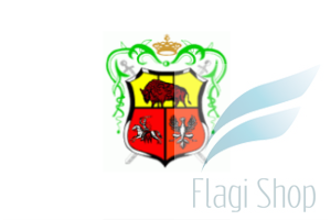 Flaga miasta DROHICZYN - na zamówienie 150x90