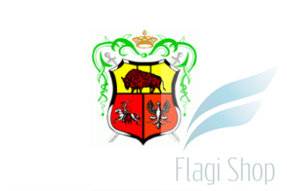 POL_Drohiczyn_flag.png