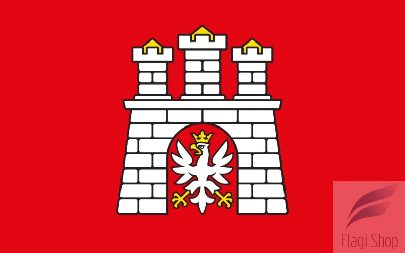 POL_Zgierz_flag.svg.png