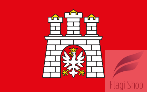 POL_Zgierz_flag.svg.png