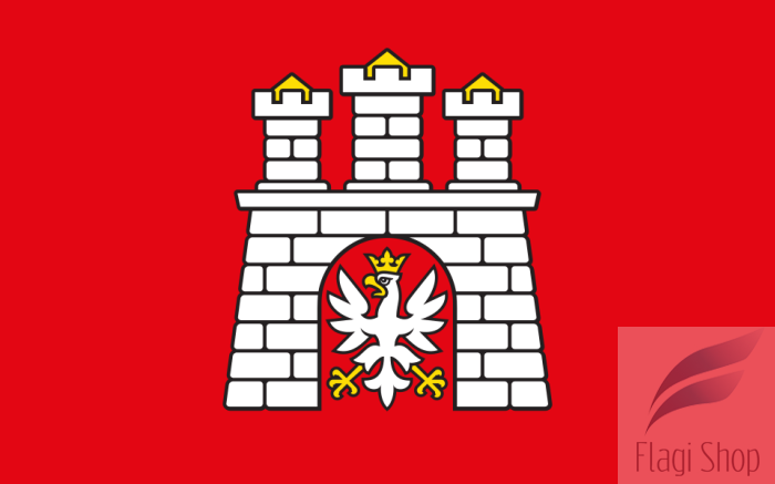 POL_Zgierz_flag.svg.png