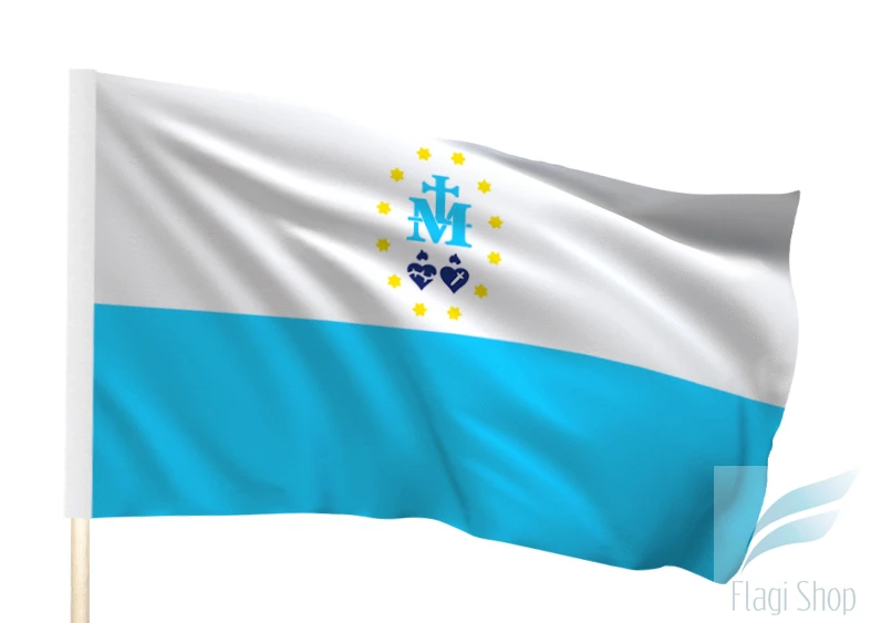 Maryjna M z tunelem.jpg