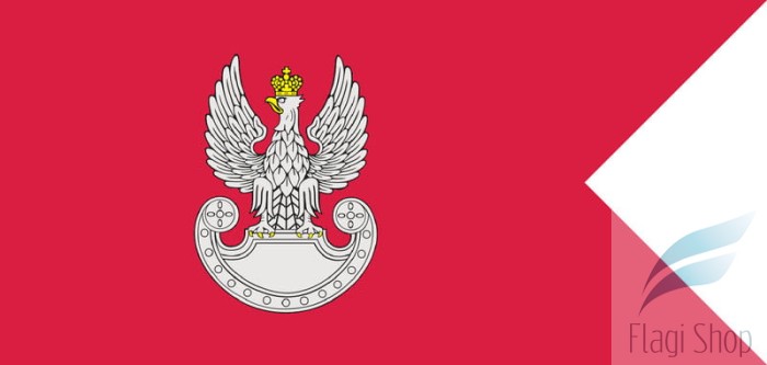 Flaga Wojsk Lądowych.jpg