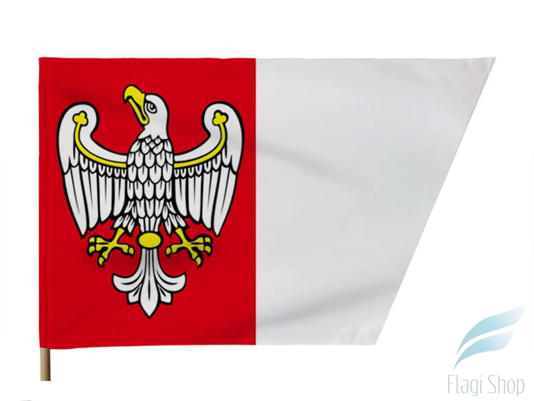 wielkopolskie woj 110x70.jpg