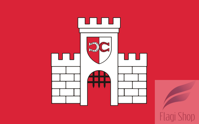 POL_Biała_flag.svg.png
