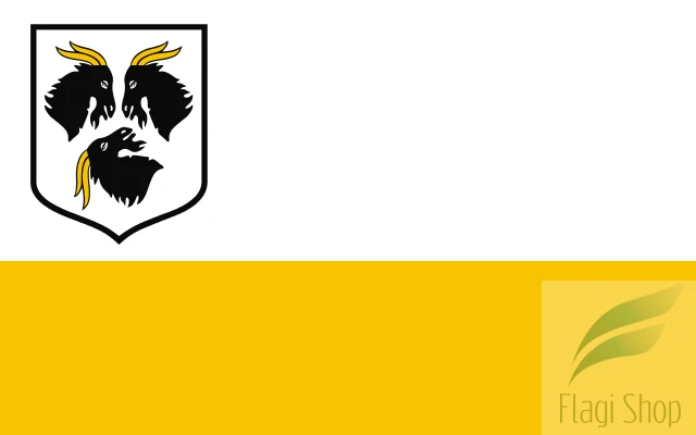 POL_Kędzierzyn-Koźle_flag.svg.png