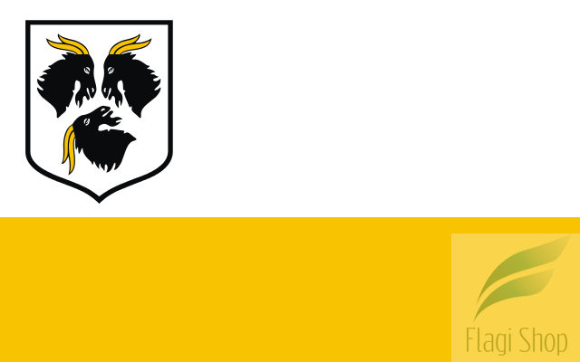 POL_Kędzierzyn-Koźle_flag.svg.png