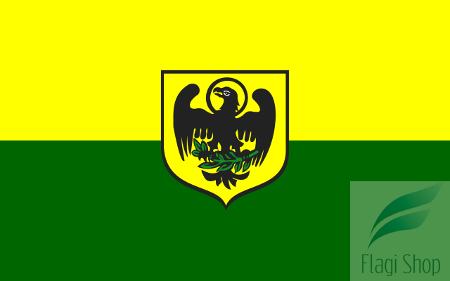 640px-POL_Paczków_flag.svg.png