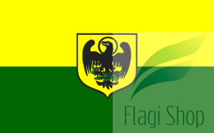 Flaga miasta PACZKÓW - na zamówienie 110x70 Paczkowa    