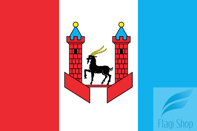 POL_Praszka_flag.svg.png
