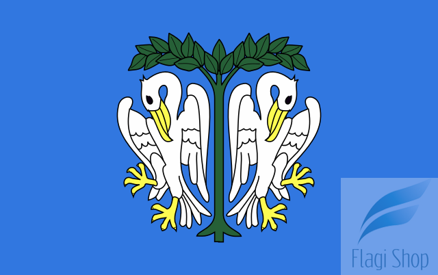 POL_Łowicz_flag.svg.png