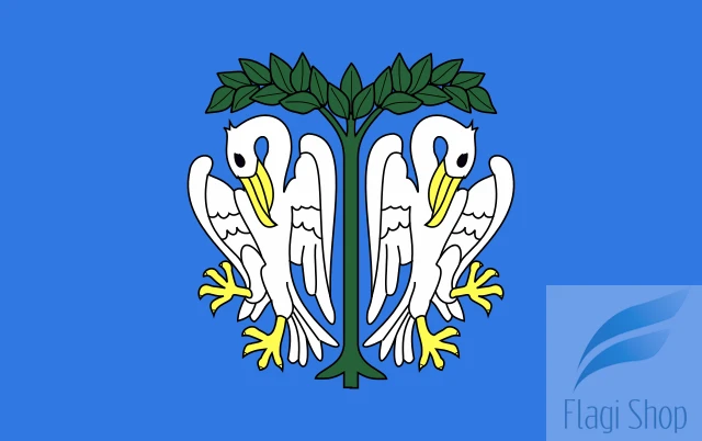 POL_Łowicz_flag.svg.png