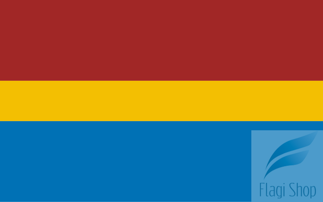 POL_Radomsko_flag.svg.png