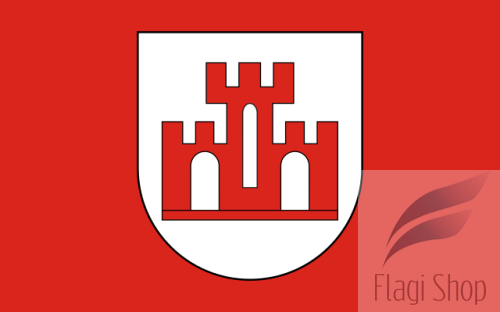 POL_Żychlin_flag.svg.png