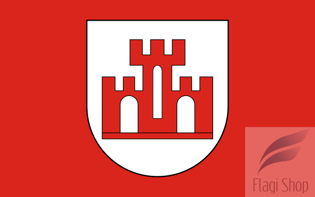 POL_Żychlin_flag.svg.png