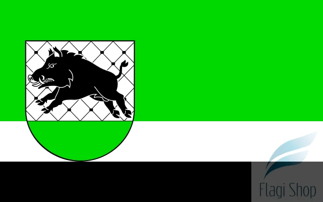 POL_Debrzno_flag.svg.png
