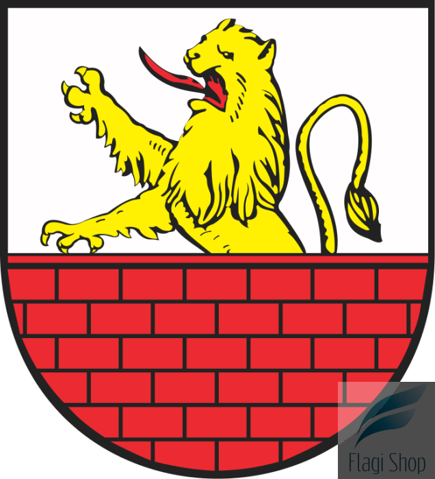 POL_Działoszyce_COA.svg.png