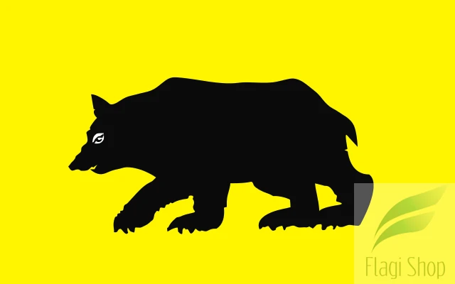 POL_Goniądz_flag.svg.png