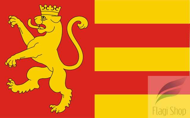 POL_gmina_Baranów_(powiat_puławski)_flag.svg.png
