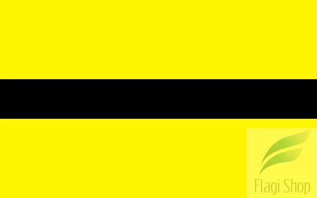 640px-POL_Wasilków_flag.svg.png