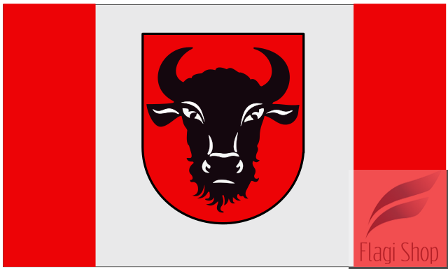 POL_Zambrów_flag.svg.png