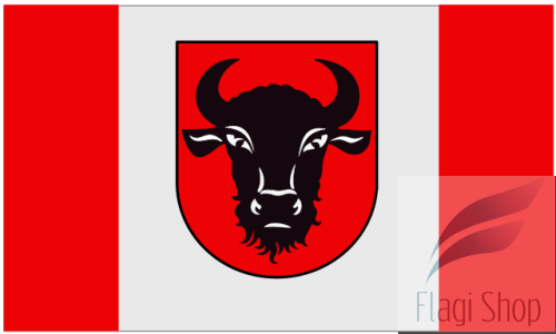 POL_Zambrów_flag.svg.png