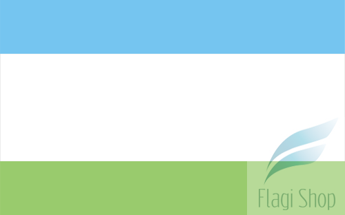 POL_Krosno_Odrzańskie_flag.svg.png