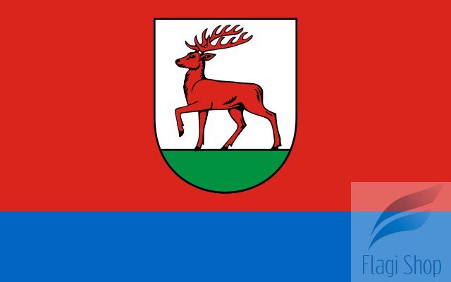 POL_Rzepin_flag.svg.png