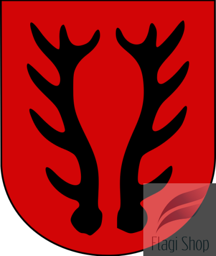 POL_Szlichtyngowa_COA.svg.png