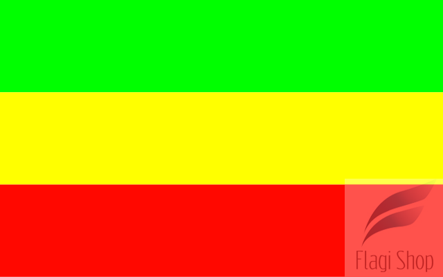 POL_Witnica_flag.svg.png