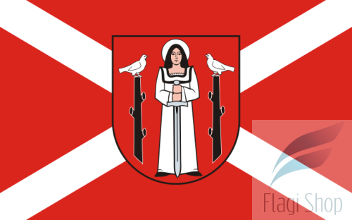 POL_Golub-Dobrzyń_flag.svg.png