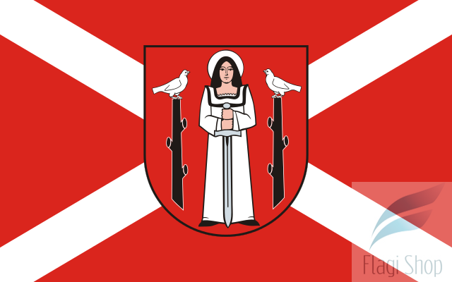 POL_Golub-Dobrzyń_flag.svg.png