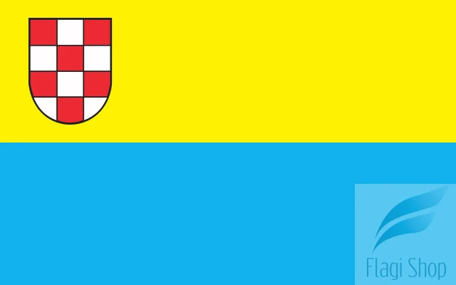 POL_Działdowo_flag.svg.png