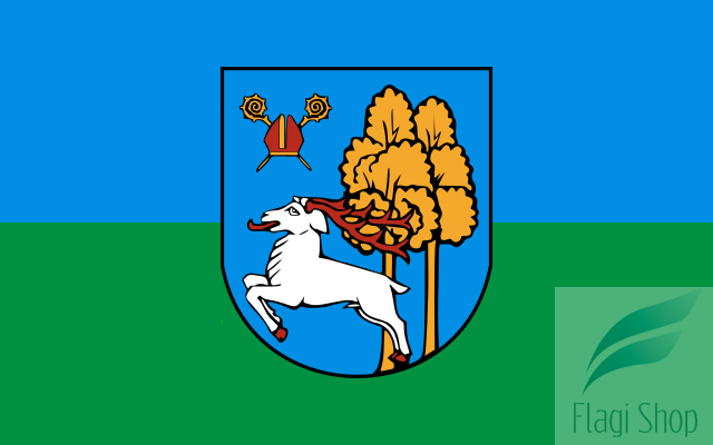 POL_Ełk_flag.svg.png